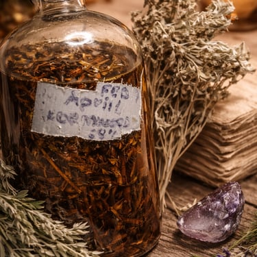 Artemisa herbal tonic by Belle for natural cleansing and digestive balance, handcrafted botanical remedy in Mexico City