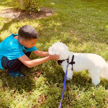 Pet dog playing with kid