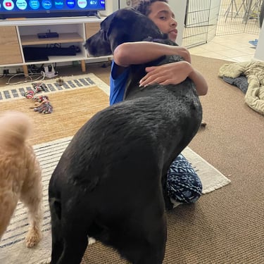 Loving our pet dog