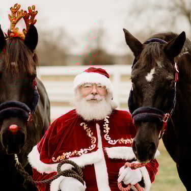 The Santa Cowboy with Oxford and Vallentina