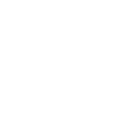 White phone icon