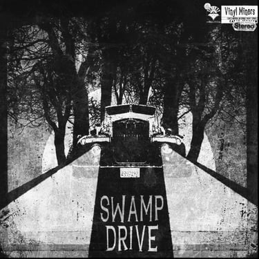 Vintage black and white Swamp Drive vinyl album cover art featuring a car on a road between dark trees.