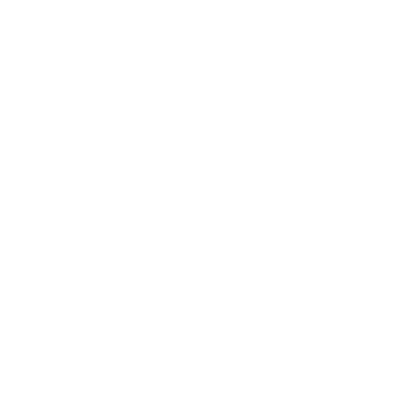 persona con estilo icono