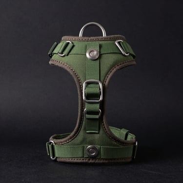 Studio shot of a durable green dog harness with metal attachments on a dark background