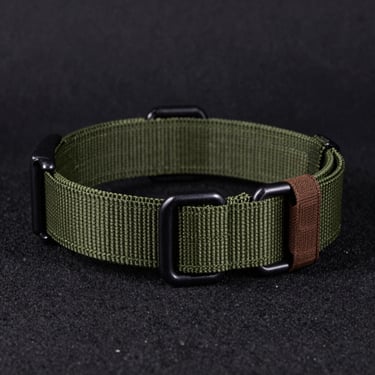 Close-up of a heavy-duty tactical dog collar made of thick nylon webbing, dark textured background, side-lit