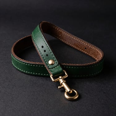 Side-lit studio shot of a premium leather dog leash with brass hardware on a dark background