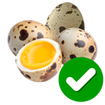 Nguồn sỉ Trứng Chim Cút Đông Anh, Hà Nội Chim Cút Thịt Chim Bồ Câu Thịt