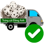 Nguồn sỉ trứng chim cút bóc sẵn tại Đông Anh, Hà Nội giao hàng tận nơi, gửi xe khách đi tỉnh