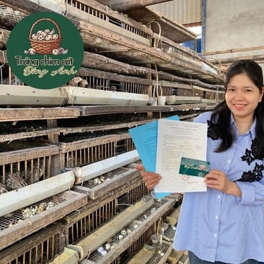 trứng chim cút giá sỉ, giao hàng Hà Nội, Bắc Ninh, Hưng Yên, Vĩnh Phúc, Phú Thọ, Thái Nguyên