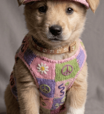 PERRO CHALECO MACRAME ROSA