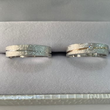 las alianzas de silvia