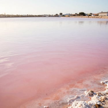 Natural salt flats of San Pedro del Pinatar with pink water reflection under a bright warm Mediterranean sun