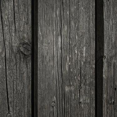 bardage bois brule noir mat moderne