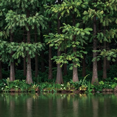A satisfied customer shaking hands with a Vanishguard pest control technician in front of a tidy apartment building.