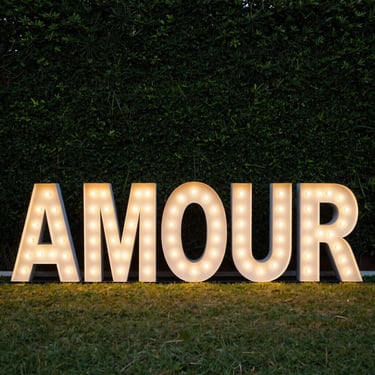 Warm glowing marquee letters spelling AMOUR against a clean, dark green hedge backdrop at twilight.
