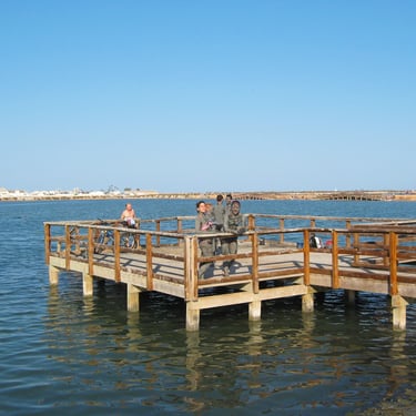 Between Lo Pagán and the San Pedro Salt Flats lies an area known for its medicinal waters and mud. V