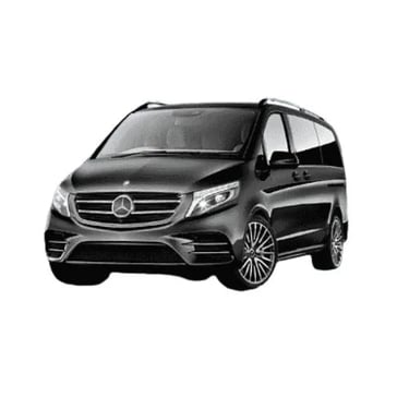 taxi van aeroport lyon