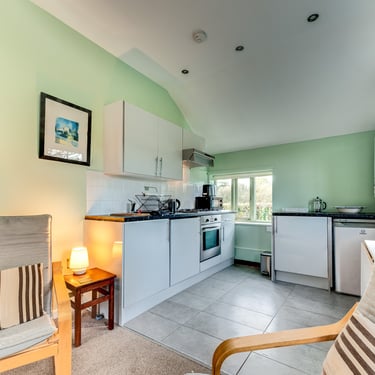 Modern studio apartment interior with a compact kitchen, white cabinets, and green walls.