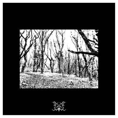 doubtsower - the endless shadow of despicable power - artwork