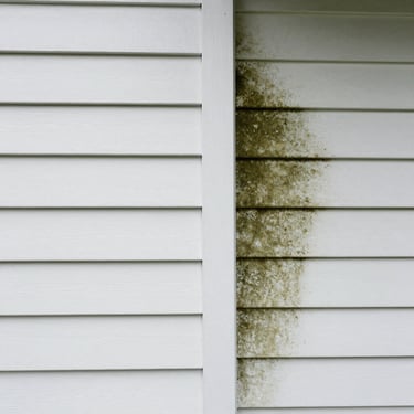 A close-up split-screen before and after of pristine white vinyl siding on a Wisconsin home, showing dark green mold completely removed on the right side
