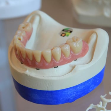 Molde y muestra de protesis dentales