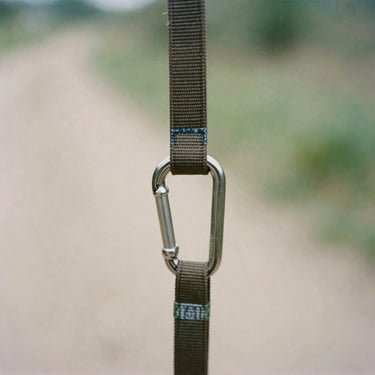Close-up of a heavy-duty nylon leash attached to a steel carabiner on a trail, natural daylight, shallow depth of field, 35mm film.