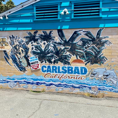 Senor Grubby's @ 377 Carlsbad Village Drive
