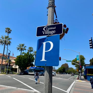 2906 Carlsbad Blvd.