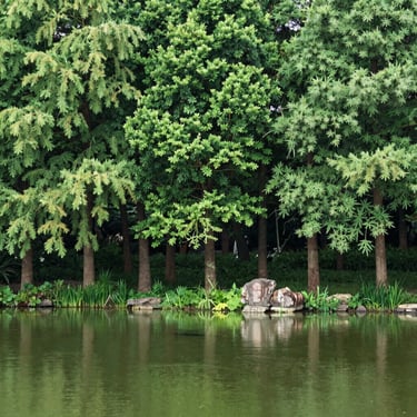 woman wearing black crew-neck shirt