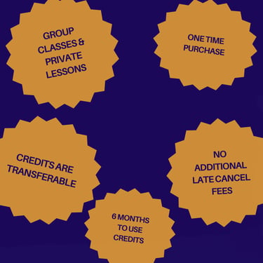 Information graphic outlining benefits for group classes and private lessons with transferable credits.