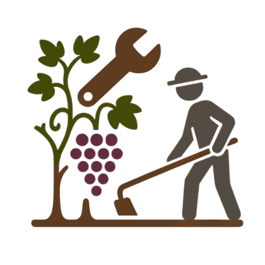 Vineyard maintenance in Mallorca | Viñarts