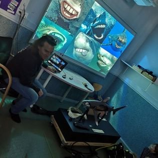 Alain Surina montrant une image de requins rigolos