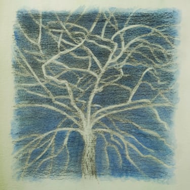 A partner to the previous drawing, this depicts the same tree in evening hours