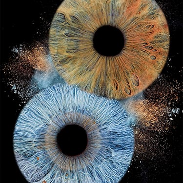 photo 2 iris en couple avec poussière