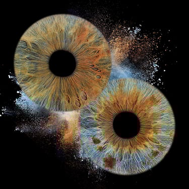 Picture 2 iris en tableau d'art