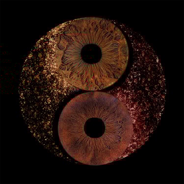 un tableau d'iris en ying et yang