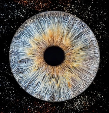 3 iris sur un tableau et léger éclats particules