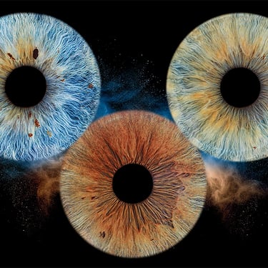 tableau de 3 iris bleus et bruns avec effet galaxie