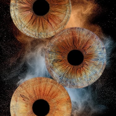 3 iris bleus et bruns pour un chef d'oeuvre 