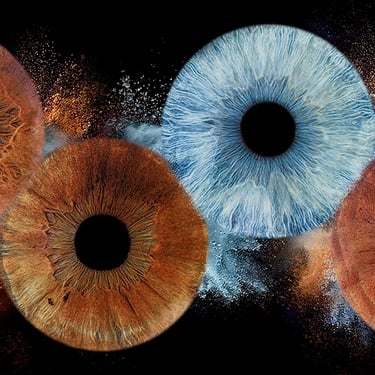 4 iris bruns et bleu avec effet poussière pour un rendu éclatant