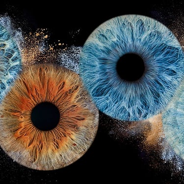 Photographie de 4 iris en famille avec éclat poussière