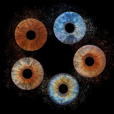 Tableau d'art photo 5 iris cadre brillant