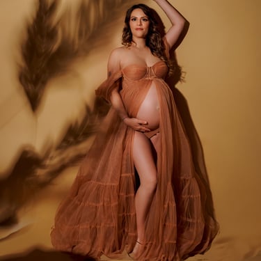 Femme enceinte avec une robe de tulle beige sur du sable et à l'ombre d'épis de blé sur fond beige