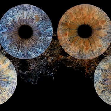 magnifique tableau de 4 iris avec l'eau qui passe au milieu