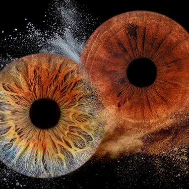 comment mettre en valeur une séance iris ? avec un tableau sur mesure