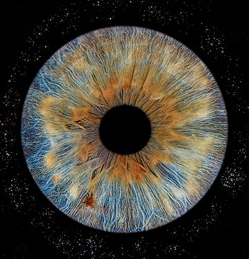 photo de 3 iris avec éclats particules en rond