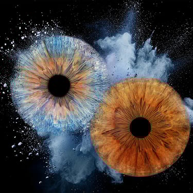 séance photo à Bulle, Fribourg, de deux iris en fusion bleu et brun 