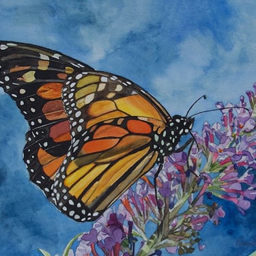 butterfly, flowers