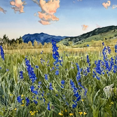 Foothills Evening, landscape, Boulder, Colorado
