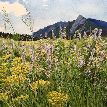 wildflowers, mountains, Chautauqua